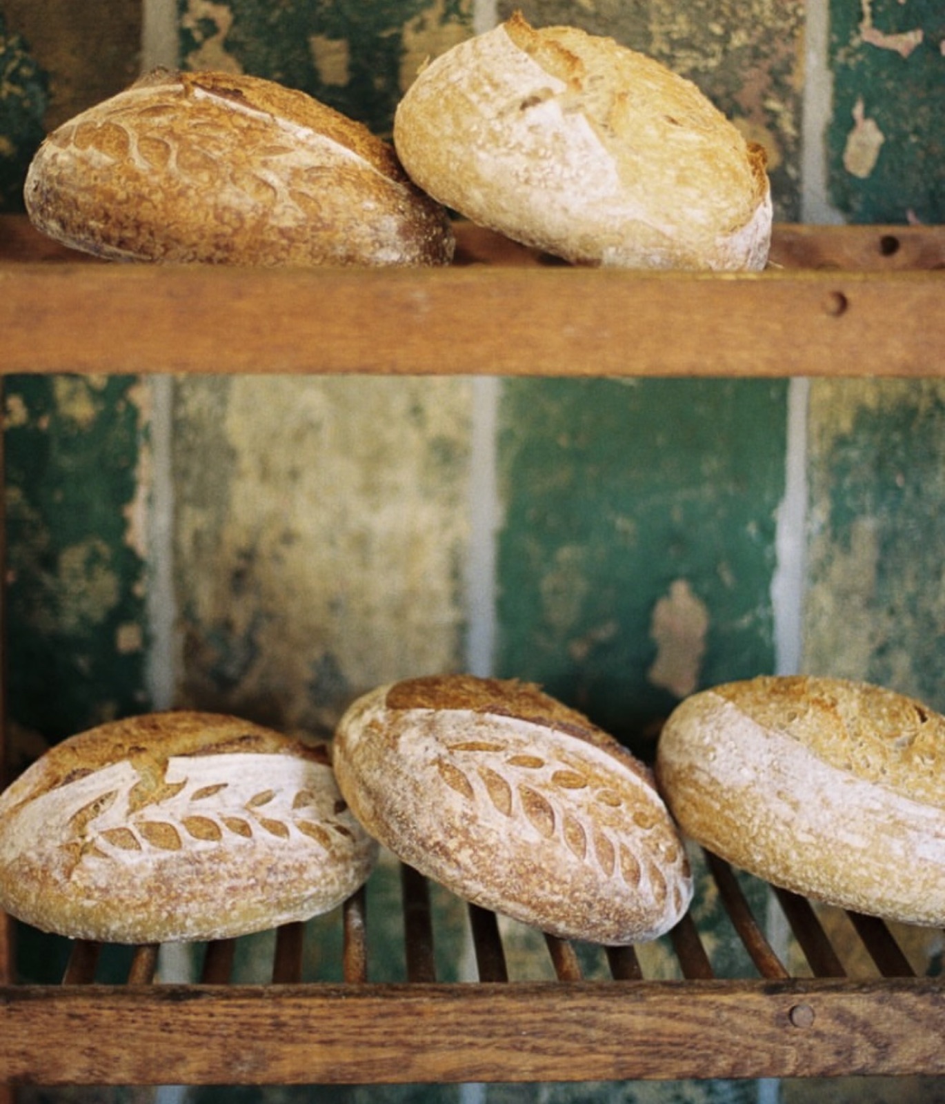 Country sourdough loaf